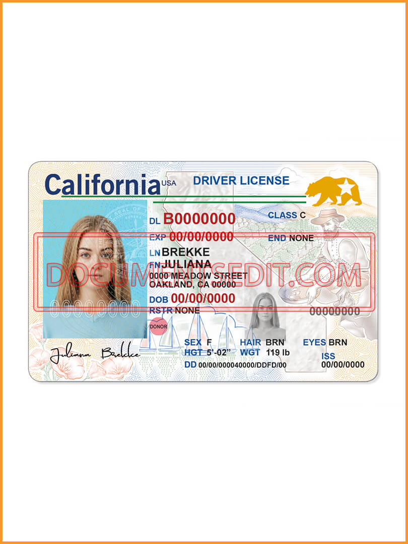 California Driving License Template (V1) Documents Edit