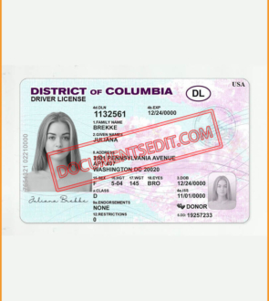 District of Columbia Driver License 