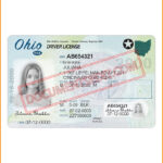 Ohio Driver License