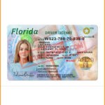 Florida Driving License Template front