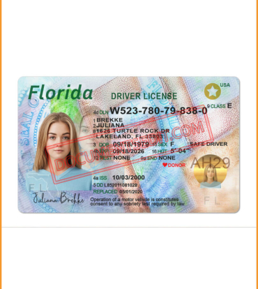 Florida Driving License Template front