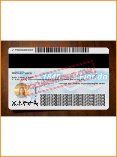 Florida Driving License back 2