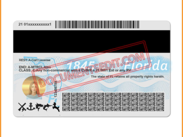 Florida Driving License back 1