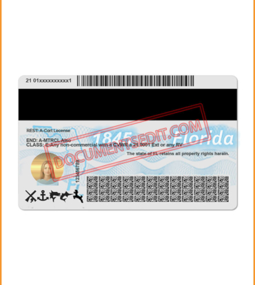 Florida Driving License back 1