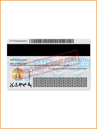 Florida Driving License back 1