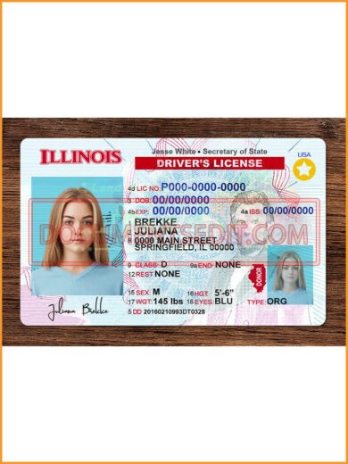Illinois DL front 2