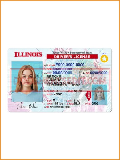 New Illinois Driving License