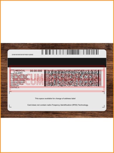 Michigan Identification Card Back 2
