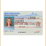Smart Michigan Identification Card