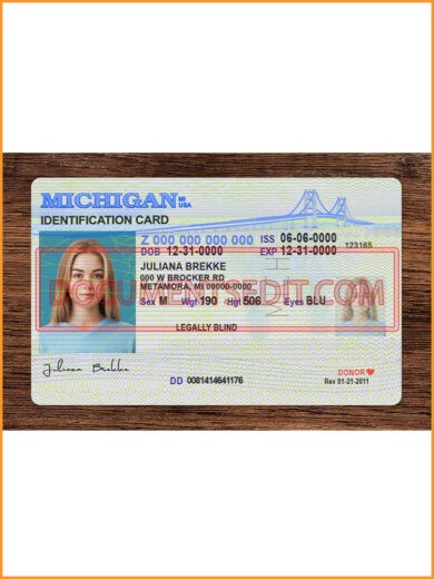 Michigan Identification Card Front 2