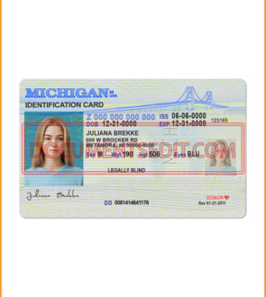 Smart Michigan Identification Card