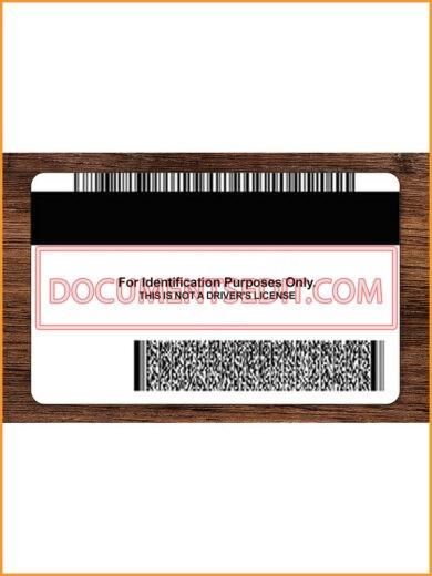 Minnesota Identification Card Back 2