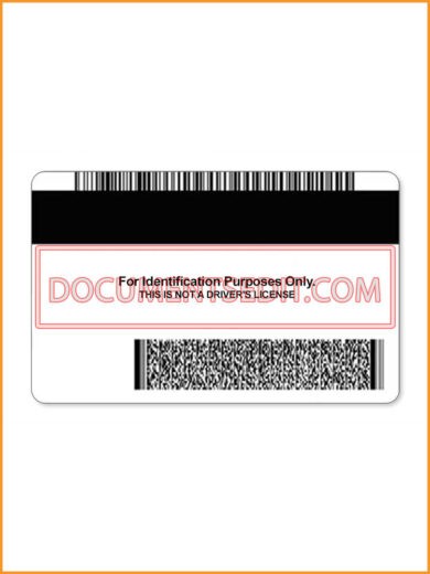 Minnesota Identification Card Back