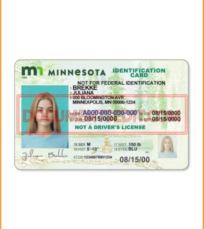 Minnesota Identification Card Front