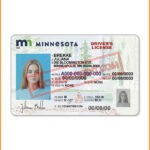 Best Minnesota State Driver's License 2022