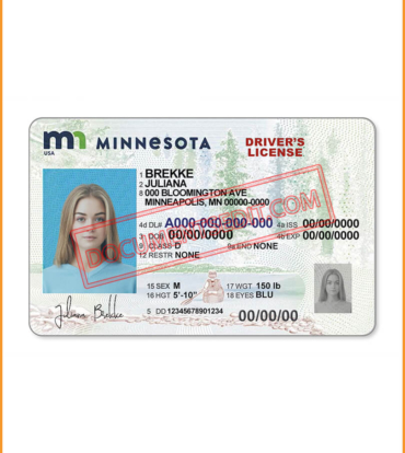 Best Minnesota State Driver's License 2022