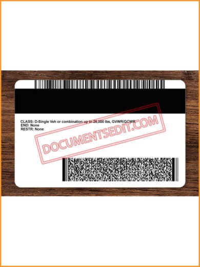 Minnesota State Diver s Licence back