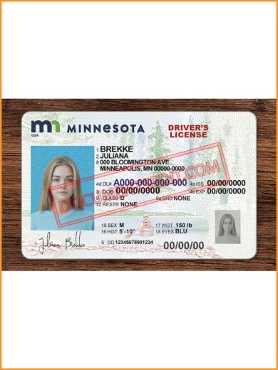 Minnesota State Diver s Licence front
