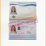 Best Passport of Finland 2022