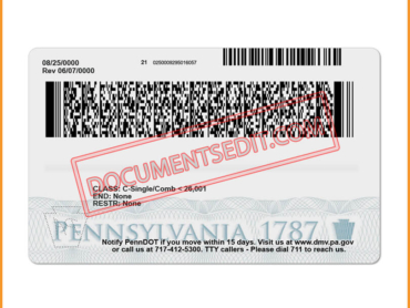 Pennsylvania Driver License Back