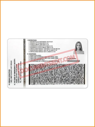 Philippines Driver License 2022