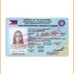Best Philippines Driver License