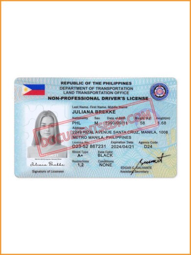 Best Philippines Driver License