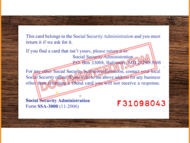 Social Security Card Back