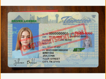 Tennessee Driver License