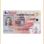 Texas Identification card PSD template