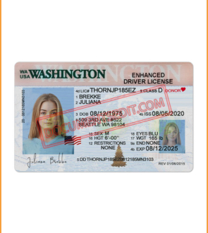 Best Washington Driver License