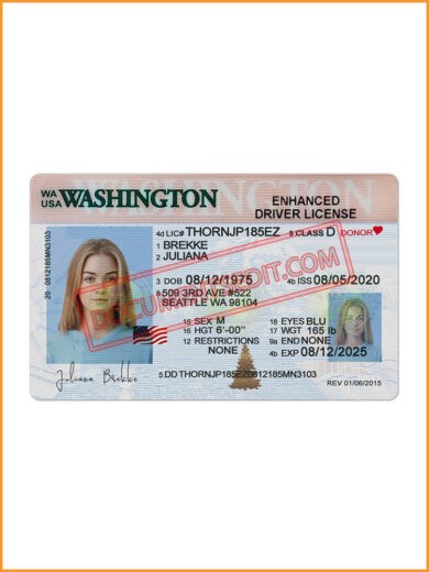 Best Washington Driver License