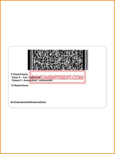 Alaska Driving License Back
