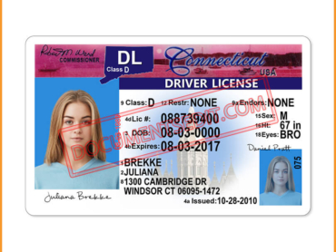 Connecticut drivers license