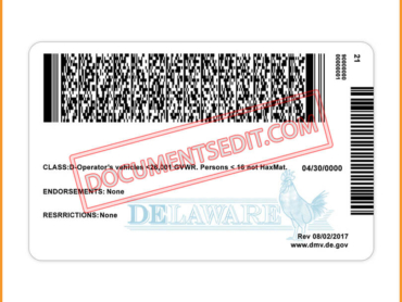 Delaware Identification Card - Back