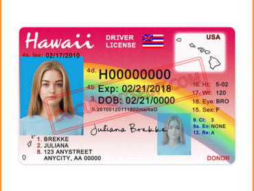 Hawaii Driver License