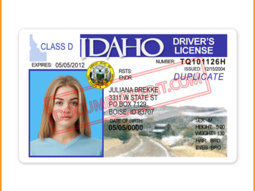 Idaho Driver License