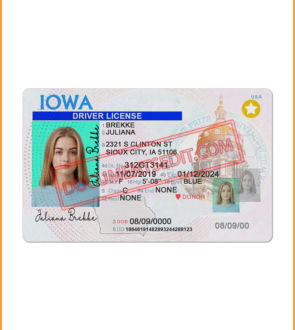Iowa Driving License
