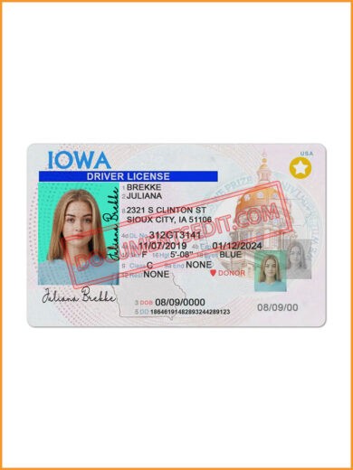 Iowa Driving License