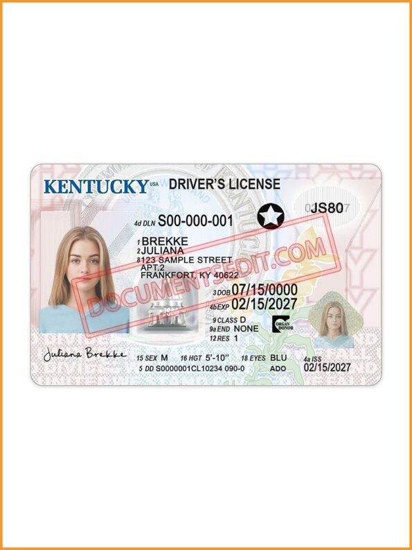 Kentucky Driver's License