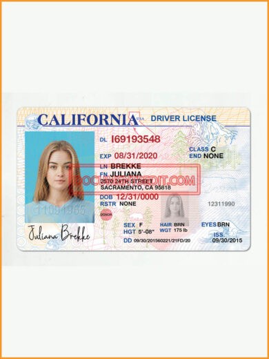 California Driving License