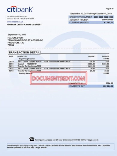 Citi Bank-Bank Statement