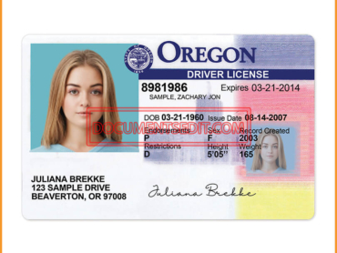 Oregon Drivers License Template Front (1)