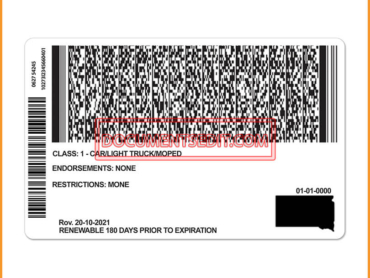 South Dakota Driver License PSD Template back (1)