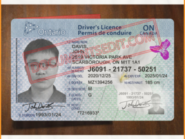 Ontario Driver License