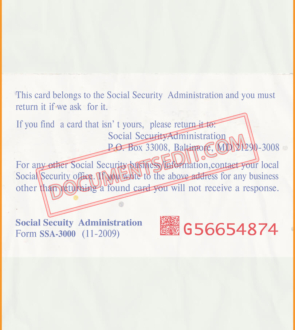 Social Security Card Template 21 2