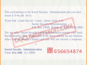 Social Security Card Template 21 2