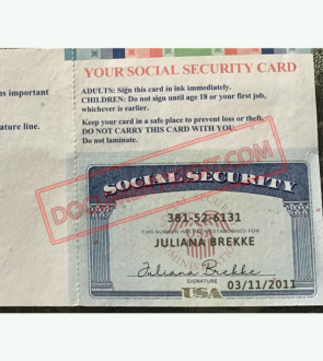 Social Security Card Template 47 2