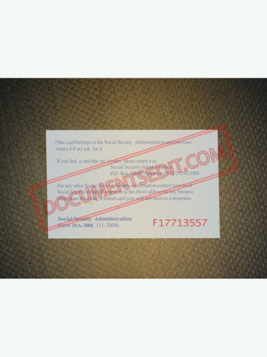 Social Security Card Template 48 b