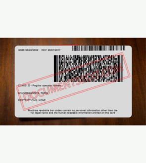 Idaho Driver License PSD Template New b (1)